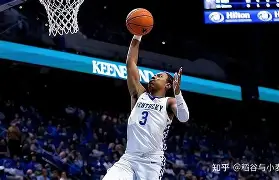 绝嗣帝王有崽啦群臣欢呼笔趣阁免费阅读